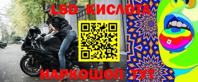 крисы Свободный