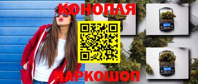 крисы Свободный